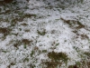 20170616_160655 (Medium)